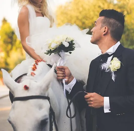 Assia Hotell Fucecchio