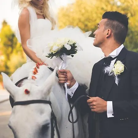 Assia Hotel Fucecchio